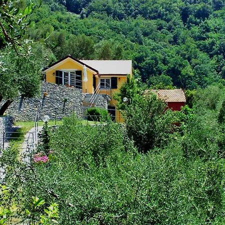 Campodonico